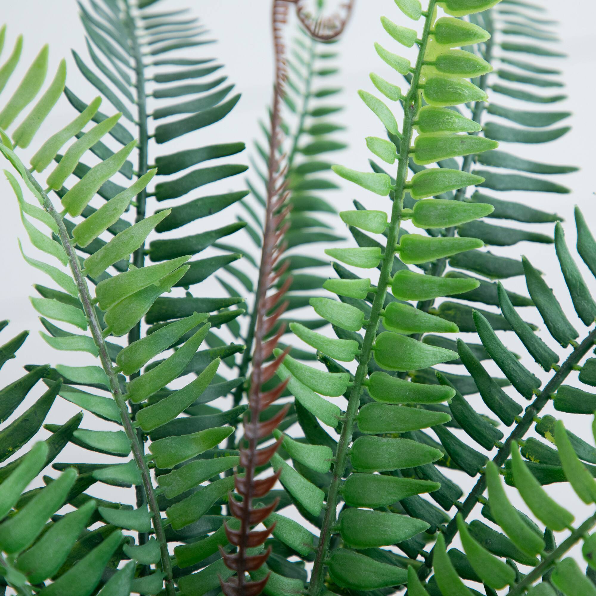16" Artificial Boston Fern Plant in Decorative Cement Planter